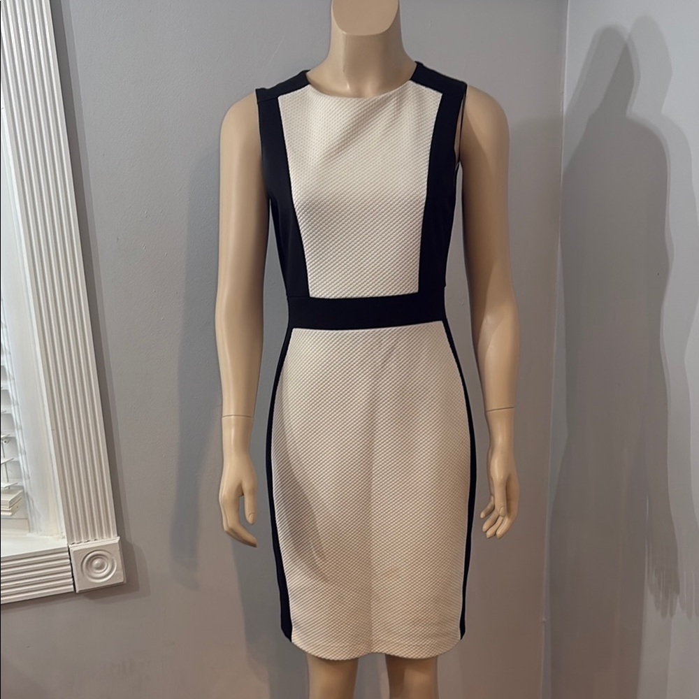 Elegant Black and White Dress
